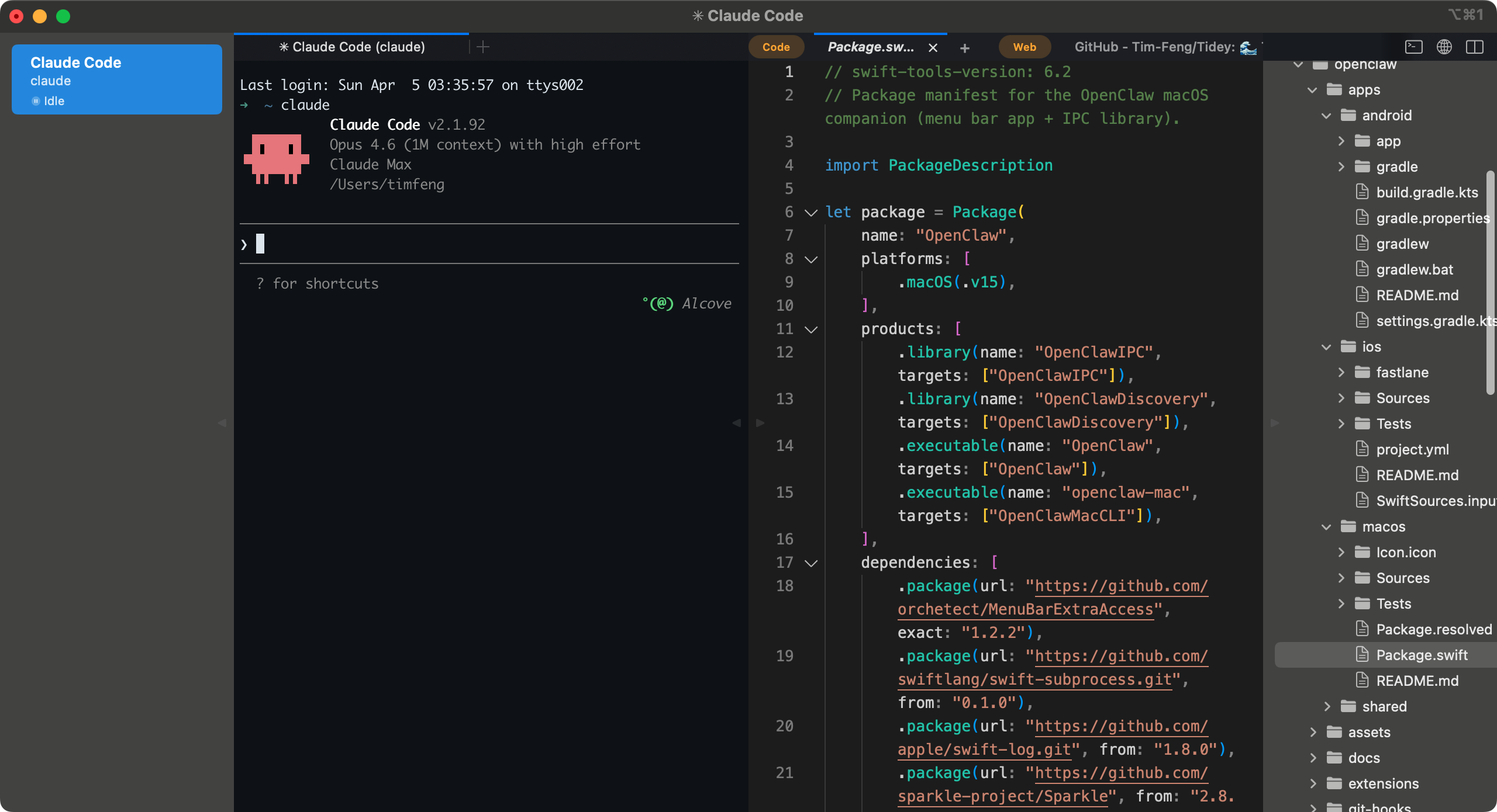 Tidey main window — sidebar, terminal, editor, and file tree