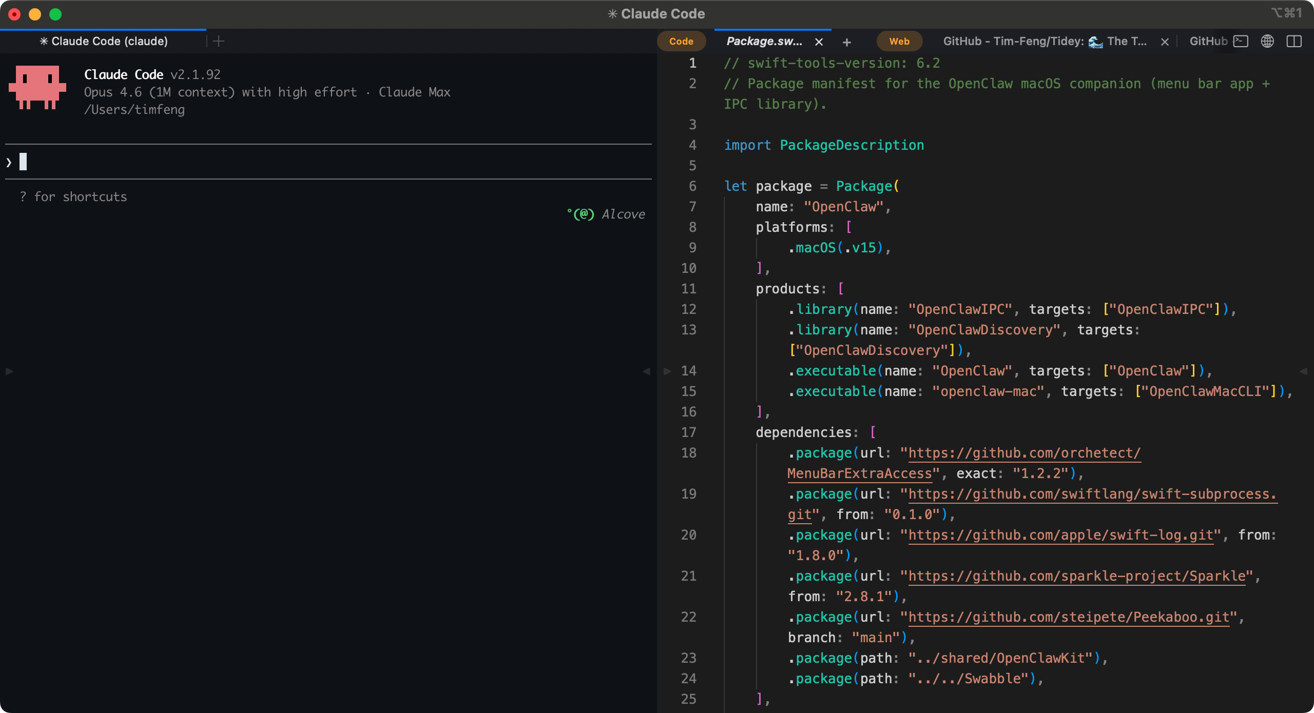 Terminal and code editor side by side
