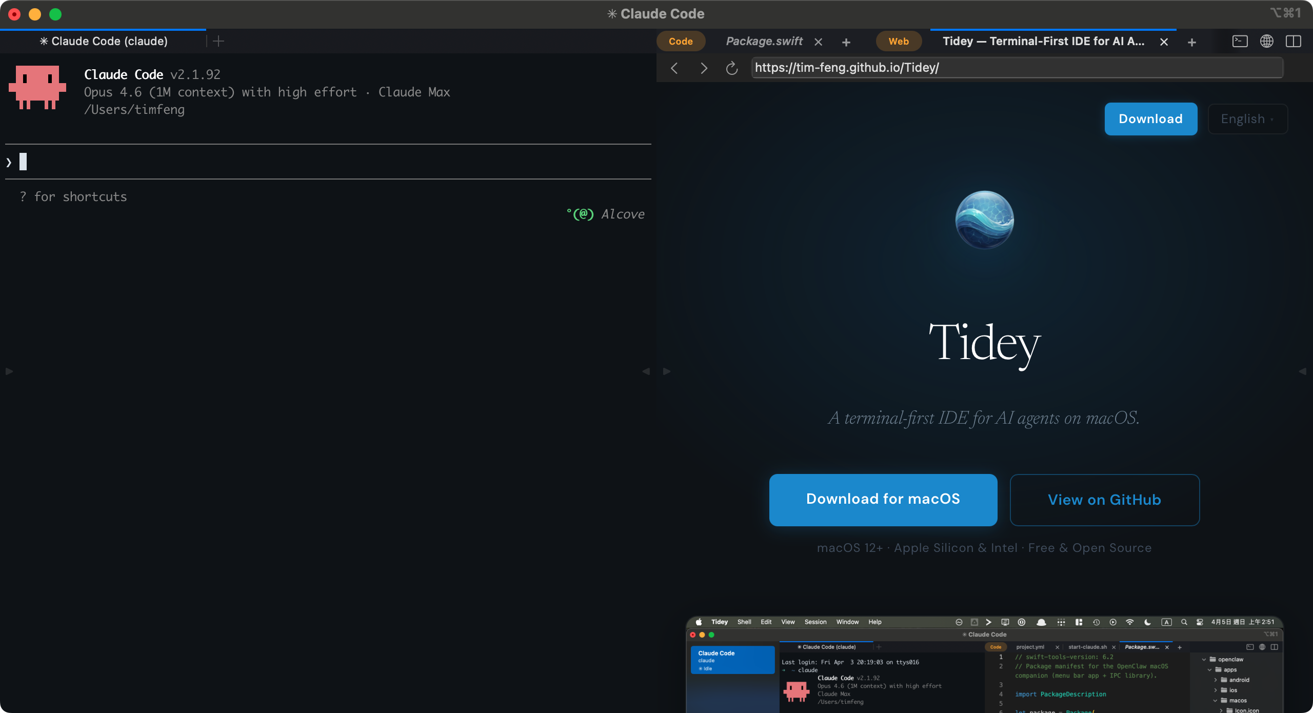 Terminal and browser side by side