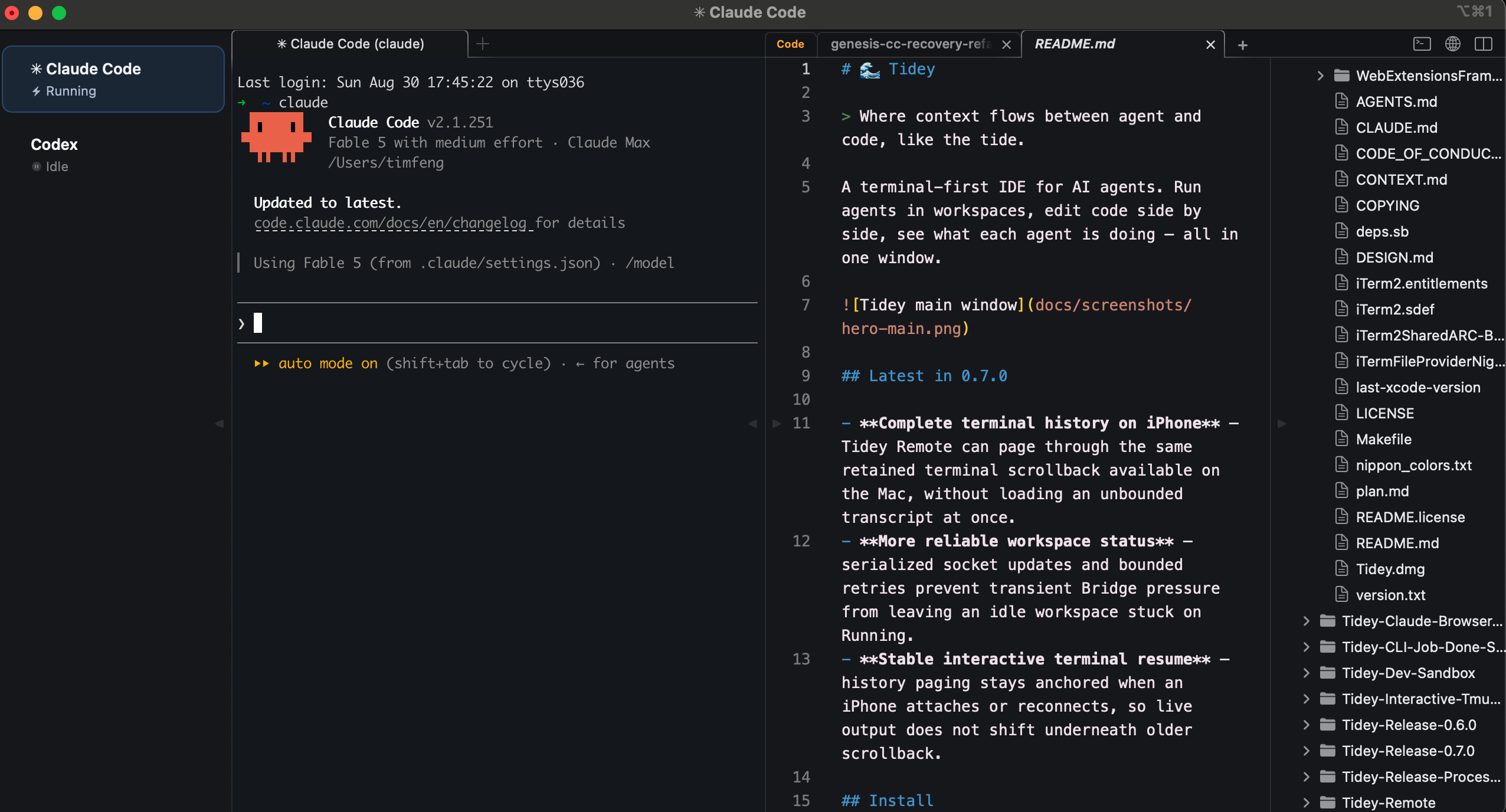 Tidey Dev window showing a running Claude Code workspace, terminal, paper tabs, README editor, and file tree in the Classic theme